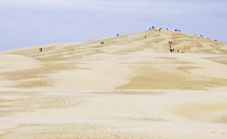 L'océan et ses dunes aux portes de Bordeaux