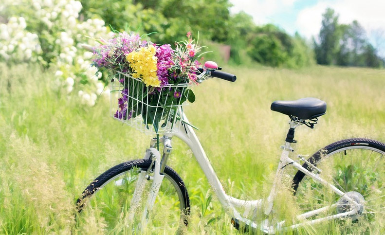 Plaisir d'une randonnée à vélo dans le bordelais